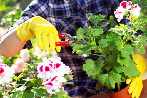 Gardeners Barnsbury commitment to preventing modern slavery