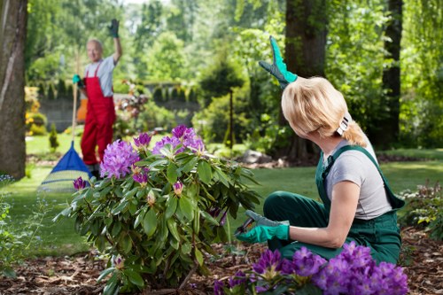 Garden maintenance in Barnsbury with neat lawn and trimmed borders