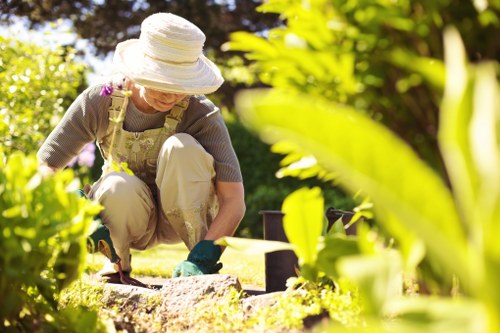 Professional hedge trimming work in Barnsbury