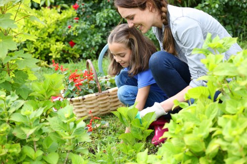 Illustration representing Gardeners Barnsbury cookie policy introduction