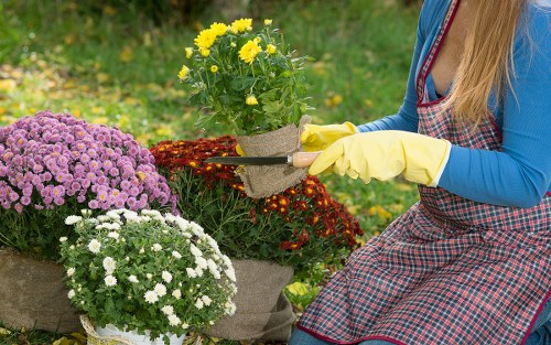Governing law section for garden service terms and conditions in England and Wales