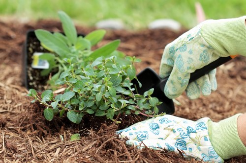 Inclusive browsing experience for Gardeners Barnsbury visitors