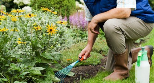 Transparent garden pricing and quotation service in Barnsbury