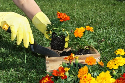 Free quote assessment for a Barnsbury property garden
