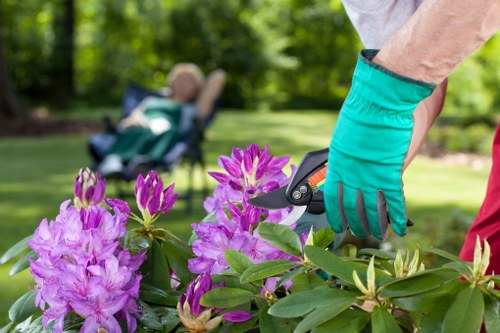 Supplier audit and labour standards review at Gardeners Barnsbury