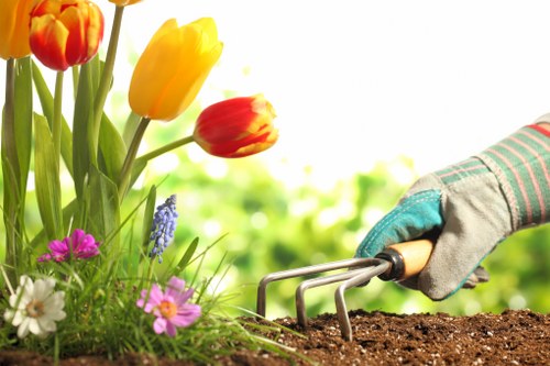 Planting and hedge care for Barnsbury gardens
