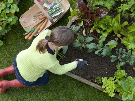Barnsbury garden structure and pruning in the cooler season