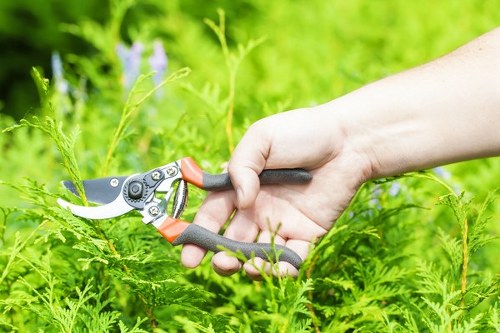 Barnsbury garden recycling and eco-friendly waste recovery
