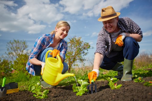 Seasonal garden maintenance in Barnsbury with planted borders