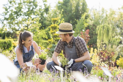 Midyear Barnsbury garden care with healthy shrubs and pathways