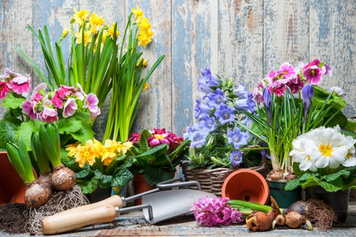 Professional lawn care service keeping a Barnsbury garden green